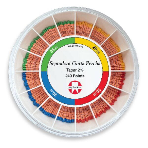 Septodont Gutta Percha 240 points