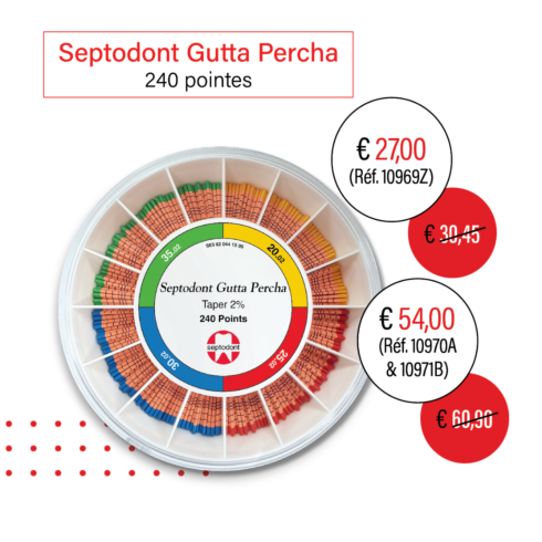 Septodont Gutta Percha
