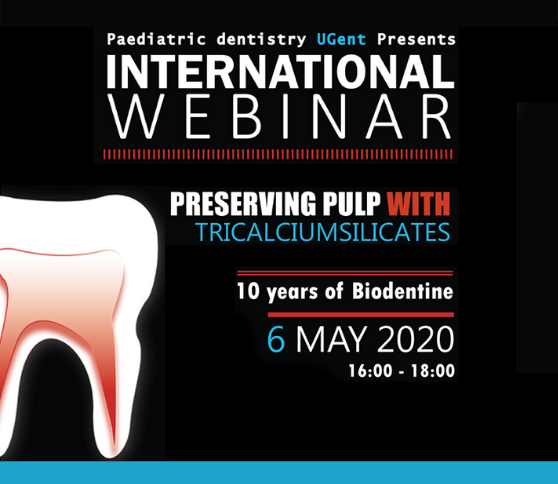 International webinar